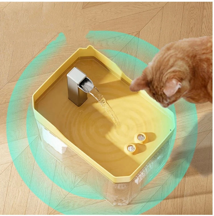 bebedouro com fonte automática  para gatos