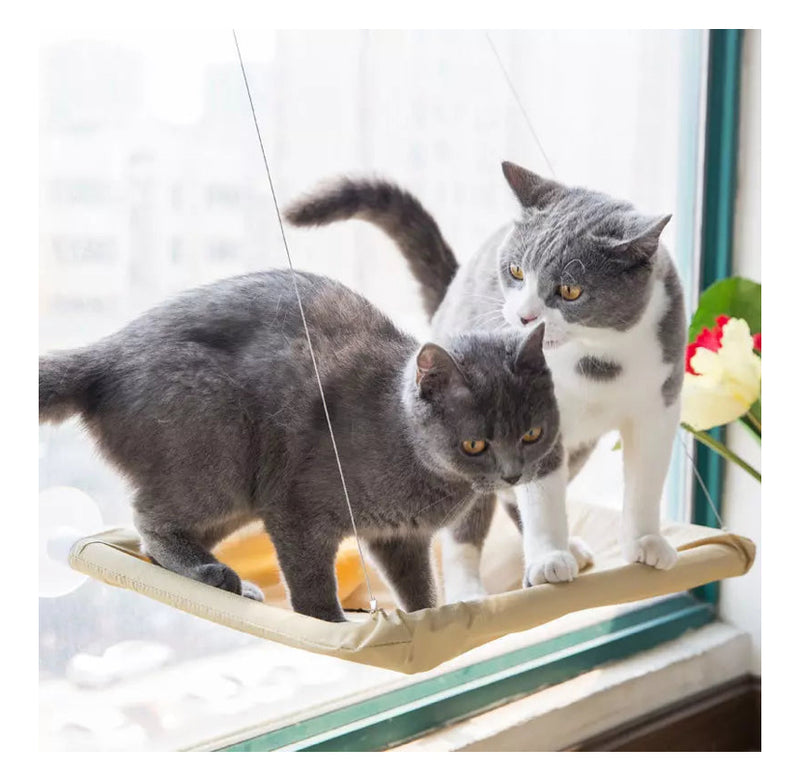 Cama  de janela suspensa para gato