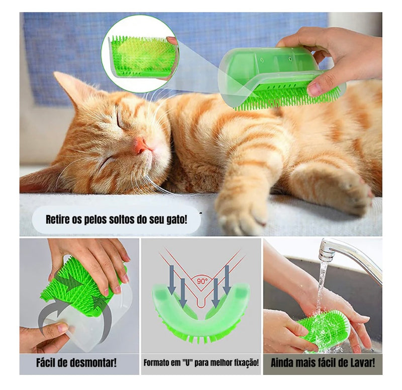 Massageador com catnip para gatos