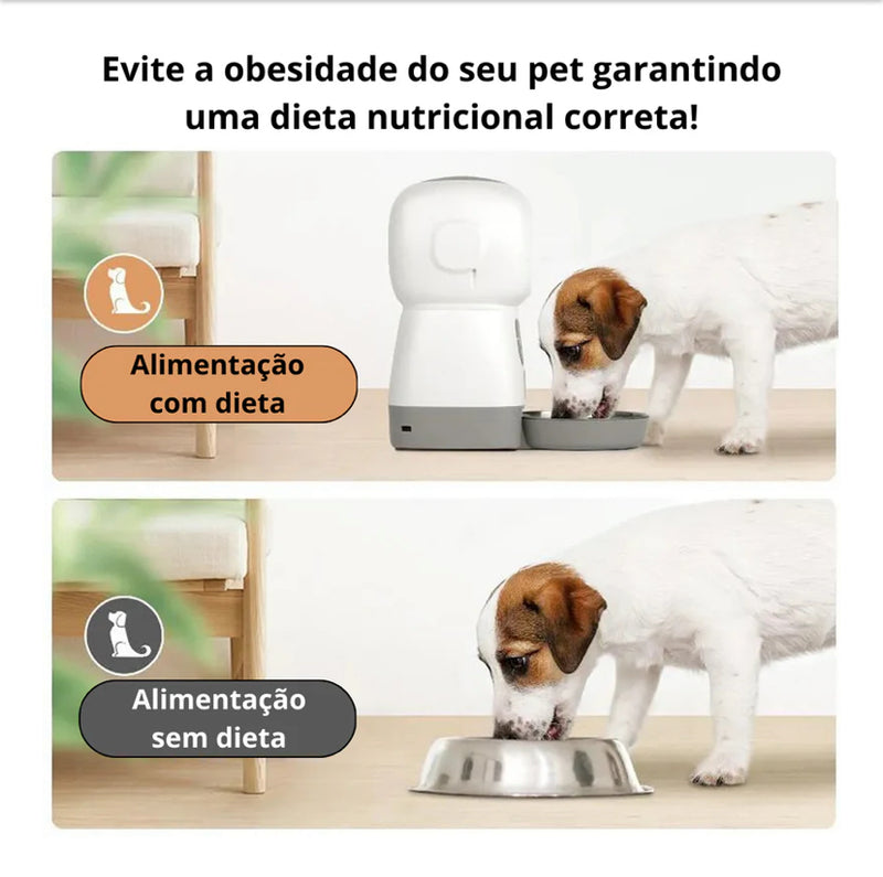 Comedouro Inteligente para pets