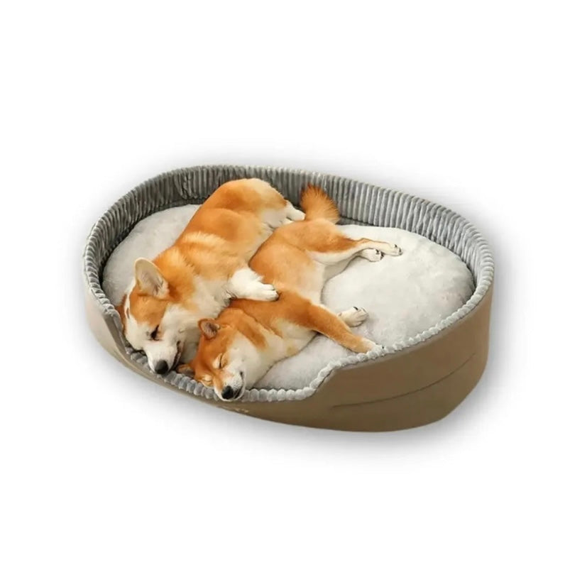 Cama para Cachorros kimpets