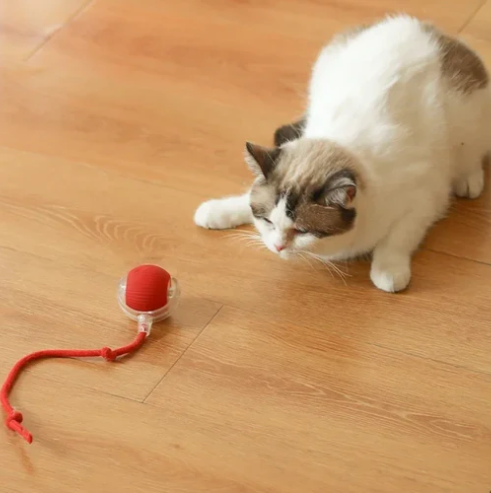 Brinquedo bola de caça elétrico