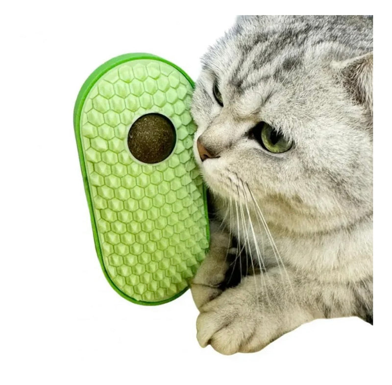 Escova massageadora com bolinha de catnip