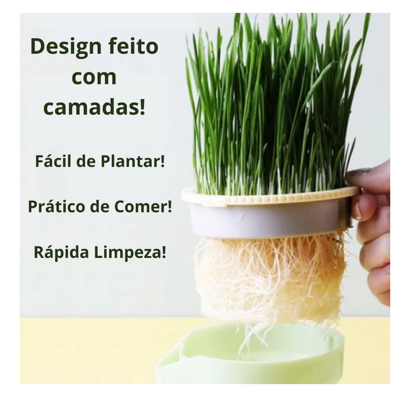 Vaso de planta para seu pet