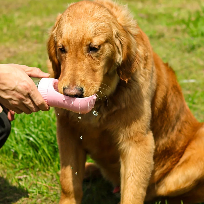 Alimentador portàtil para pets