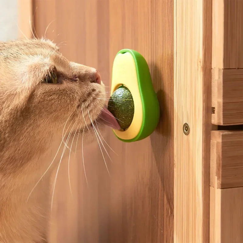 Brinquedo abacate bola de catnip para seu felino