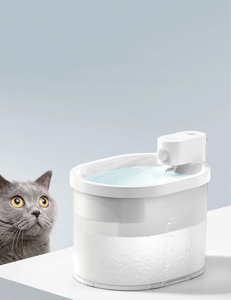 Bebedouro inteligente com sensor de movimento para gatos e cachorros